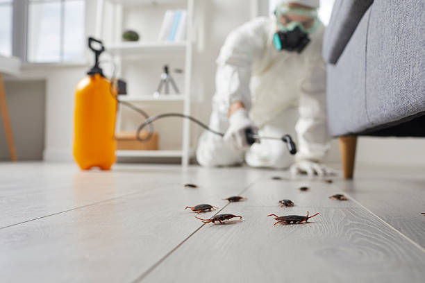 Commercial Rodent Management in Calera